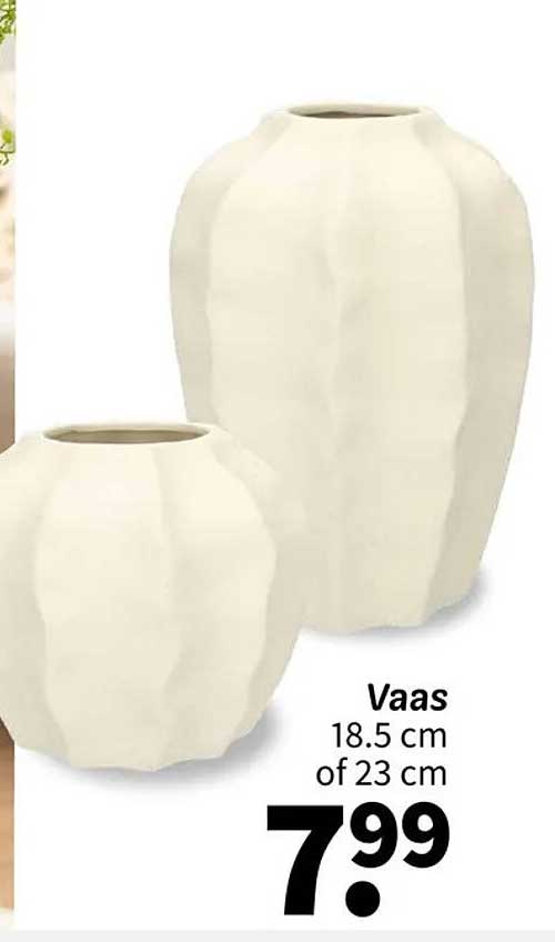 Vaas 18,5 cm of 23 cm