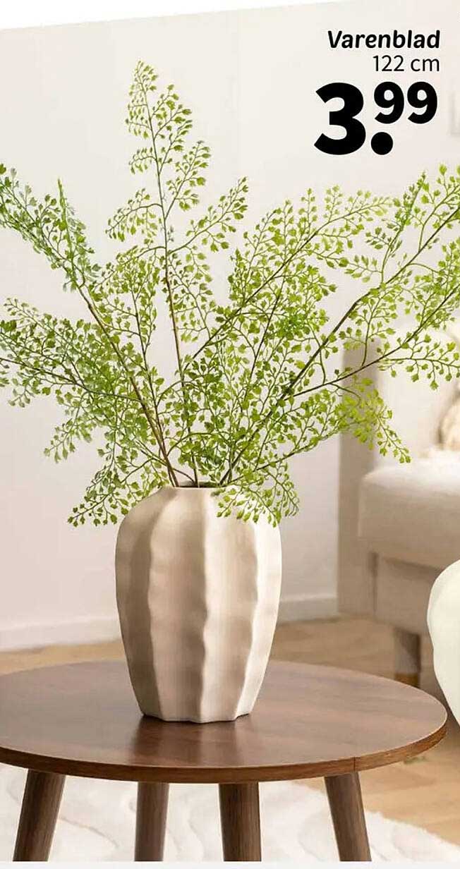Varenblad 122 cm