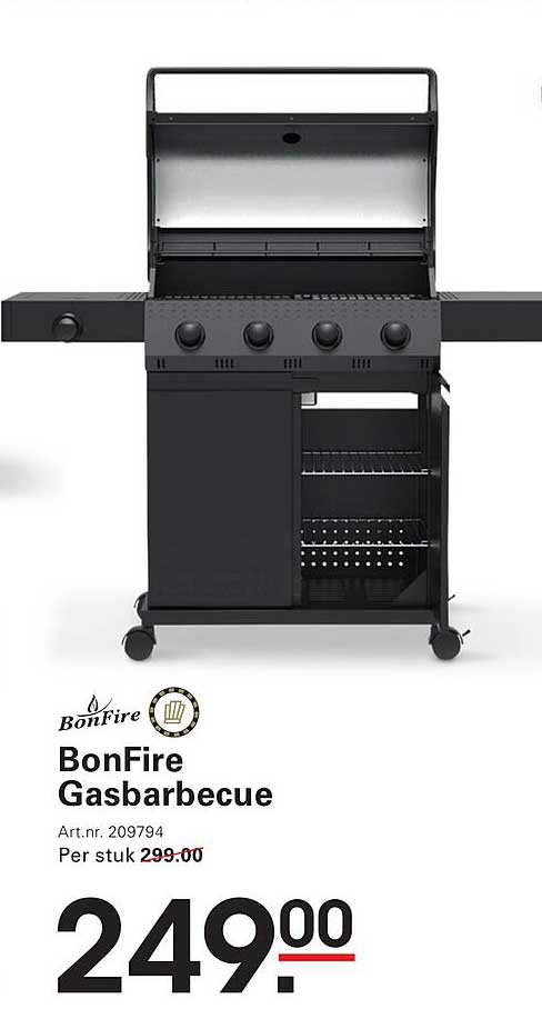 BonFire Gasbarbecue