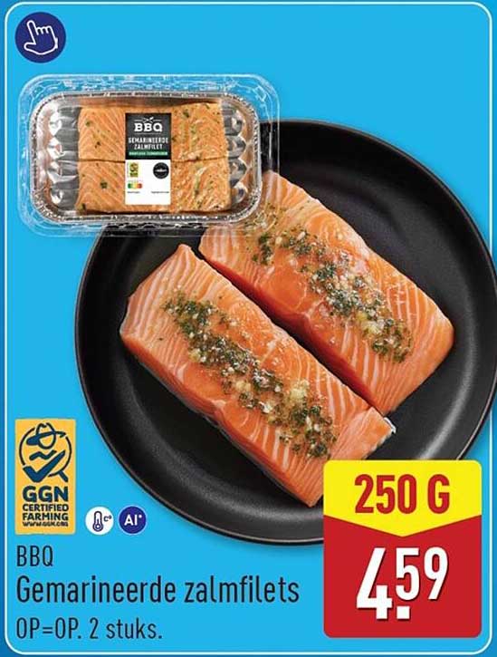 BBQ Gemarineerde zalmfilets OP=OP, 2 stuks.