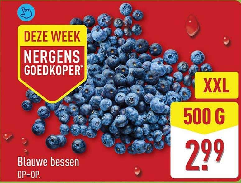 Blauwe bessen XXL 500 g