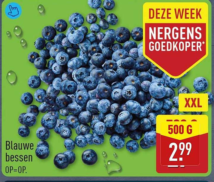 Blauwe bessen XXL 500 g