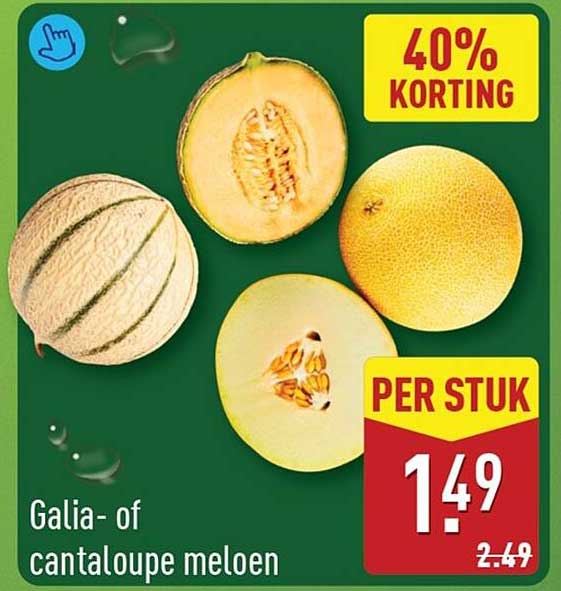 Galia- of cantaloupe meloen 40% korting