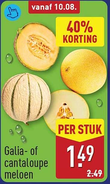 Galia- of cantaloupe meloen 40% KORTING PER STUK