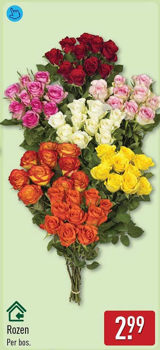 Rozen