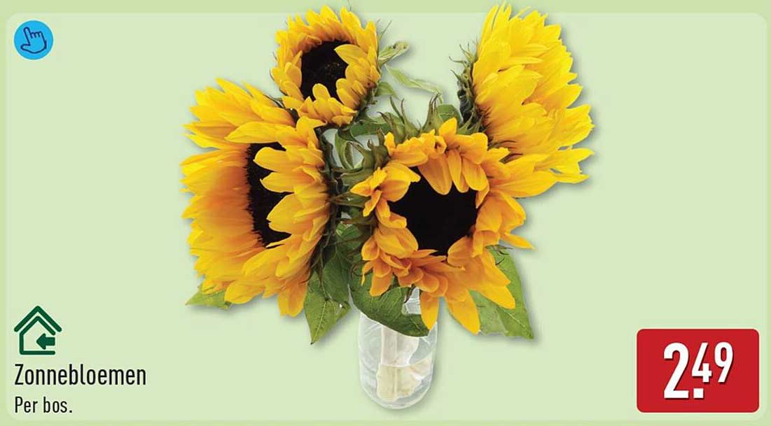 Zonnebloemen