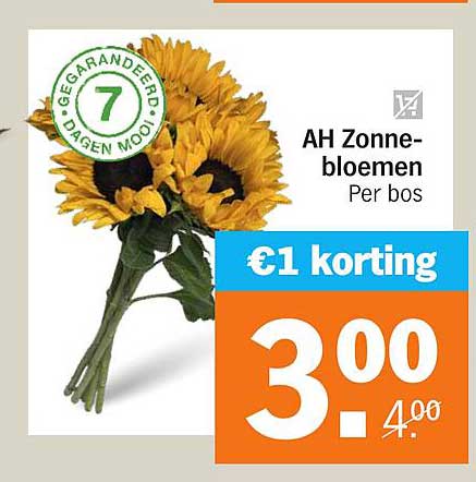 AH Zonne-bloemen