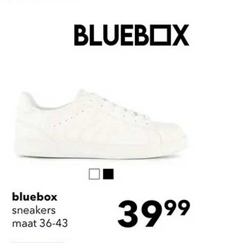 bluebox sneakers maat 36-43