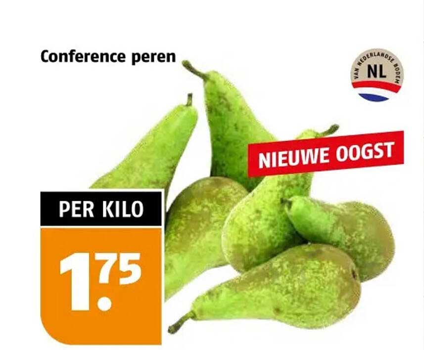 Conference peren