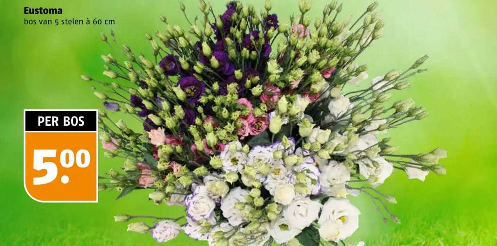 Eustoma bos van 5 stelen à 60 cm