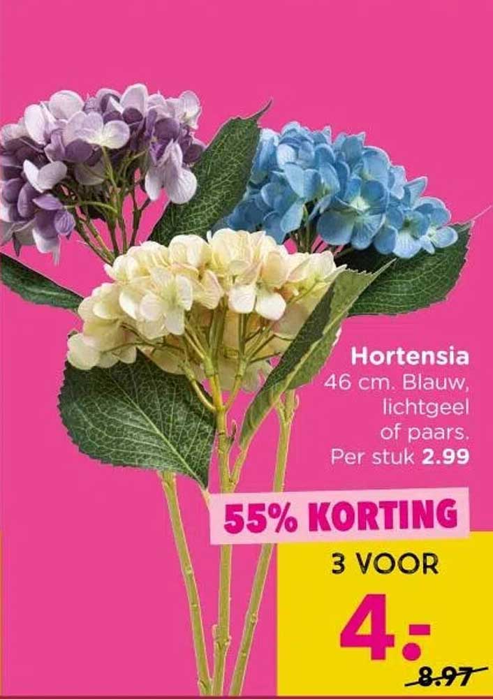 Hortensia 46 cm. Blauw, lichtgeel of paars.
