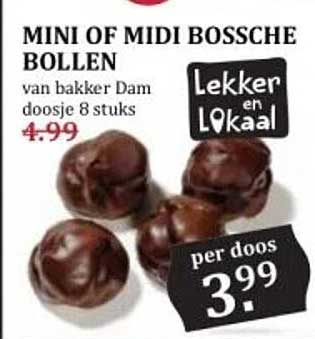MINI OF MIDI BOSSCHE BOLLEN