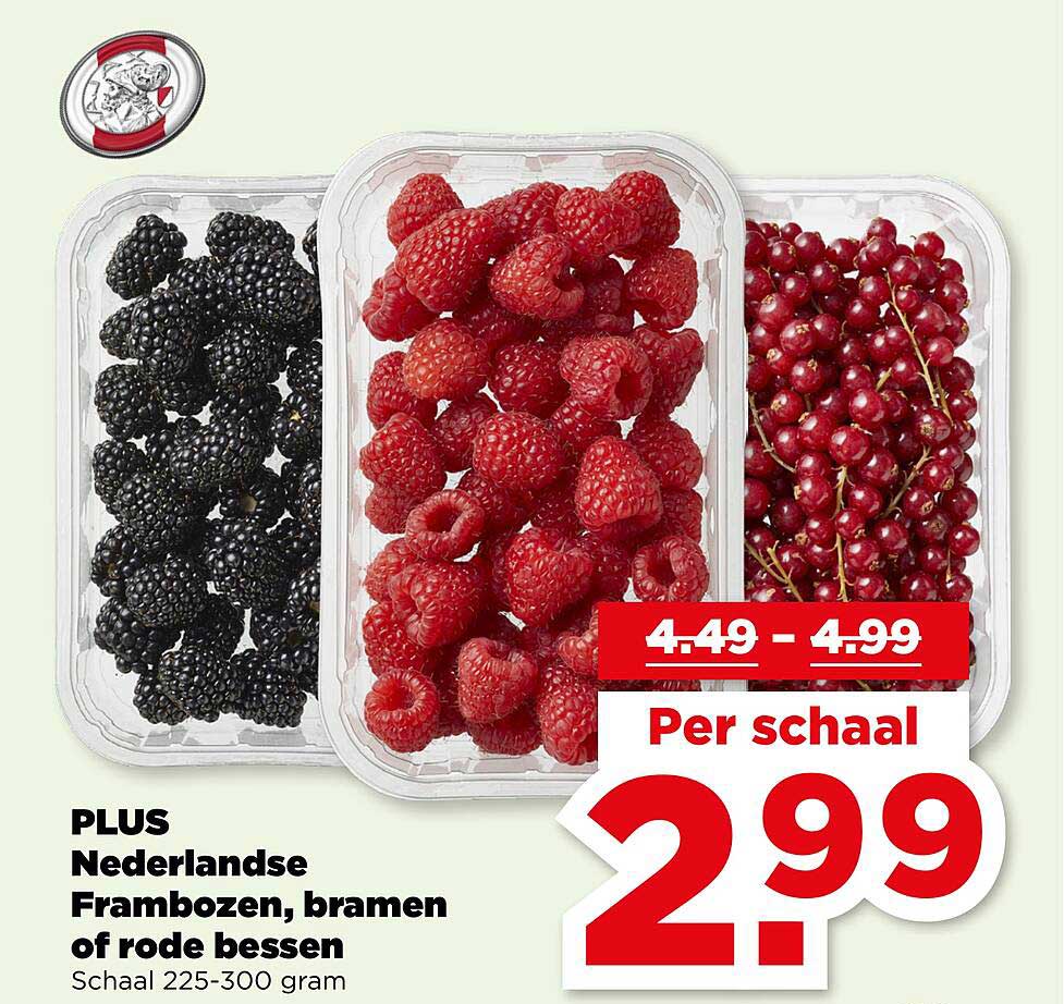 PLUS Nederlandse Frambozen, bramen of rode bessen