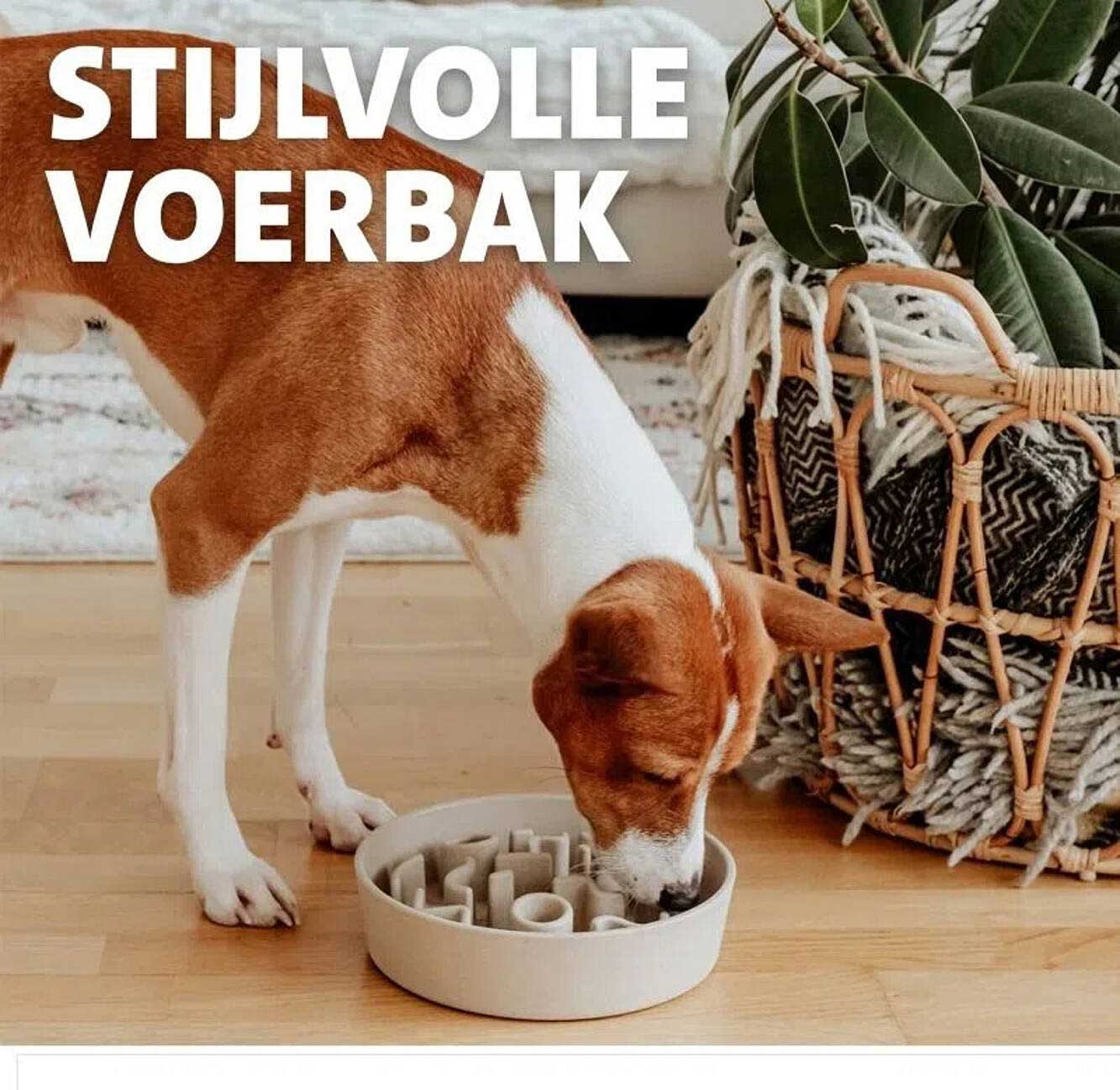 STIJLVOLLE VOERBAK