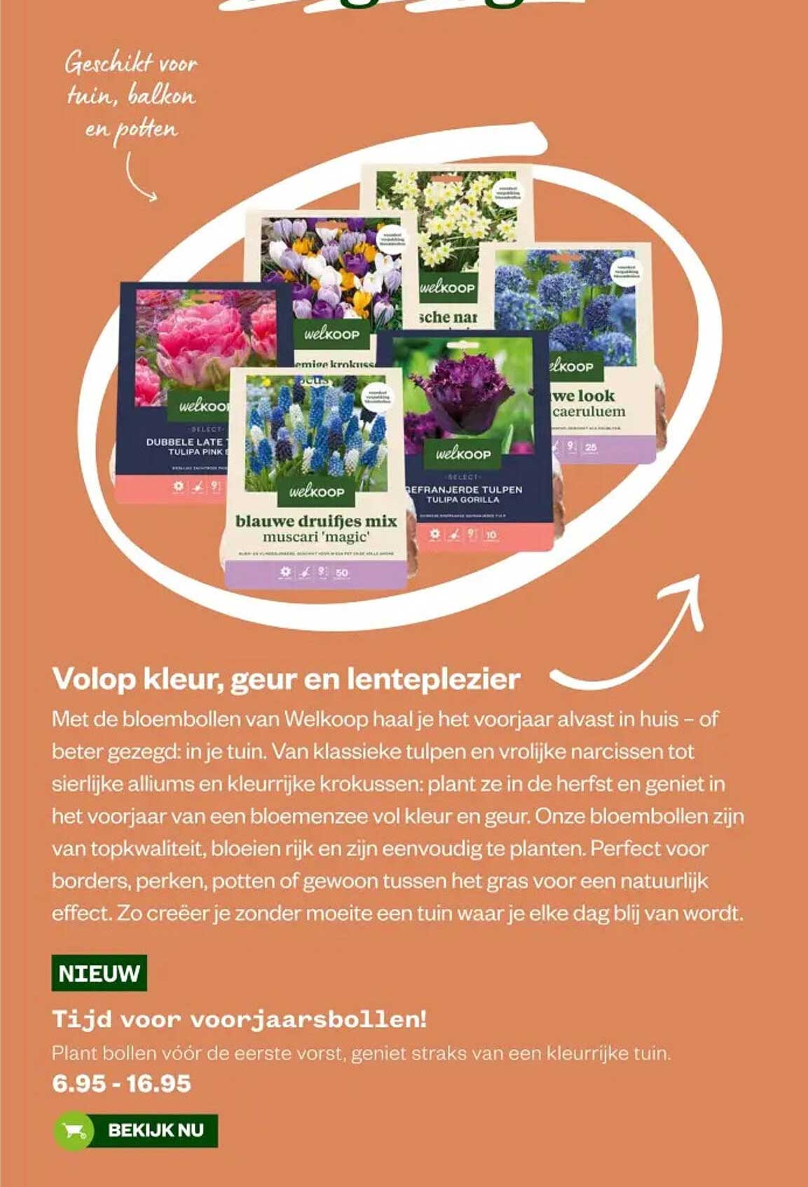 Tijd voor voorjaarsbollen!