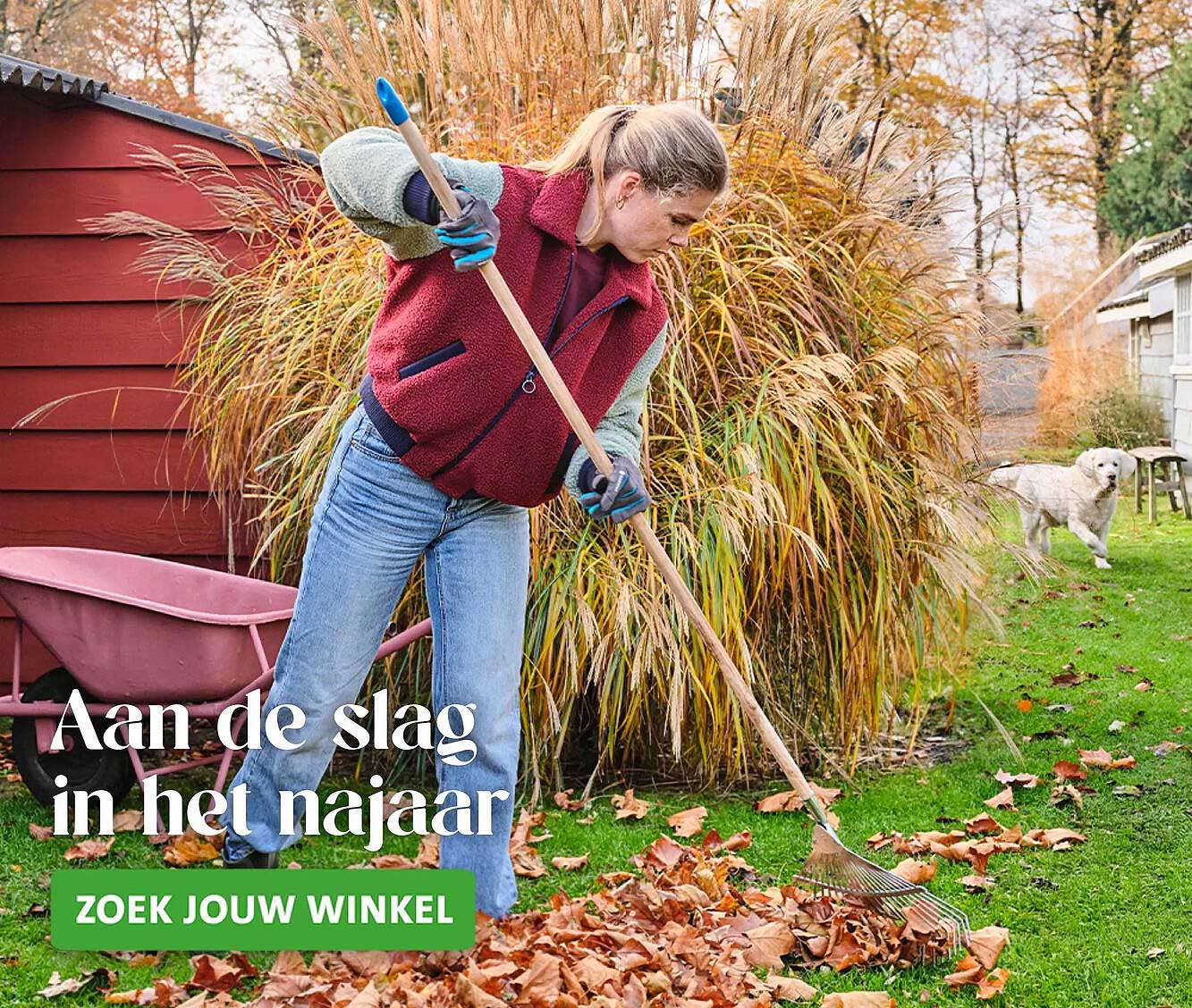 Aan de slag in het najaar