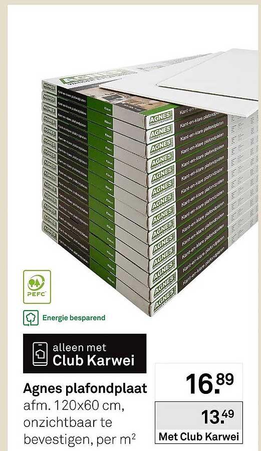 Agnes plafondplaat afm. 120x60 cm, onzichtbaar te bevestigen, per m²
