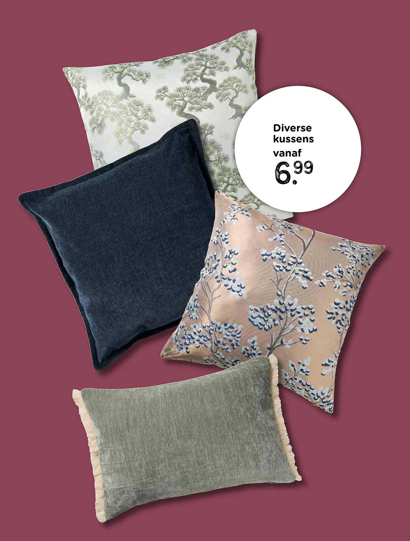 Diverse kussens vanaf 6.99