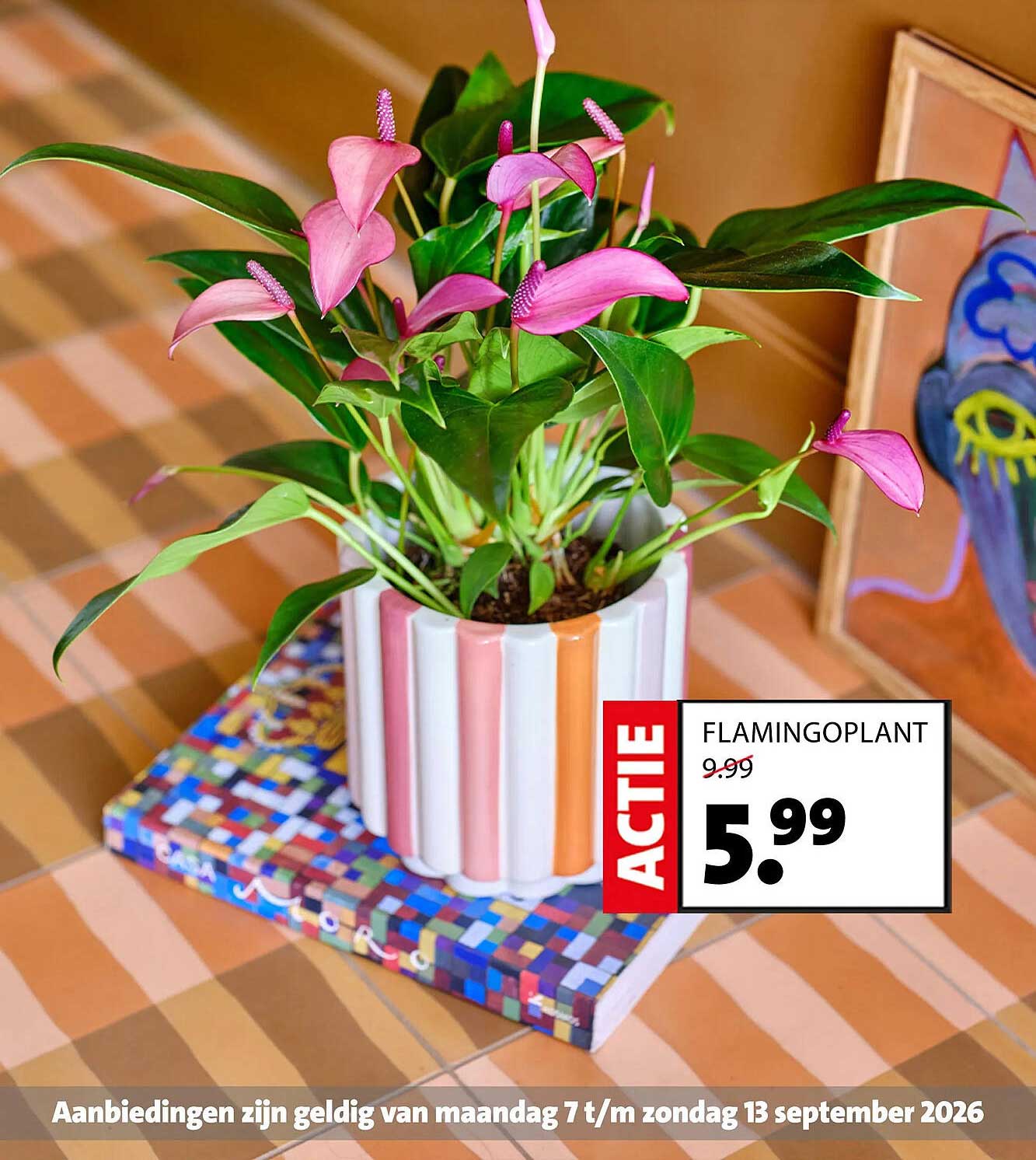 FLAMINGOPLANT