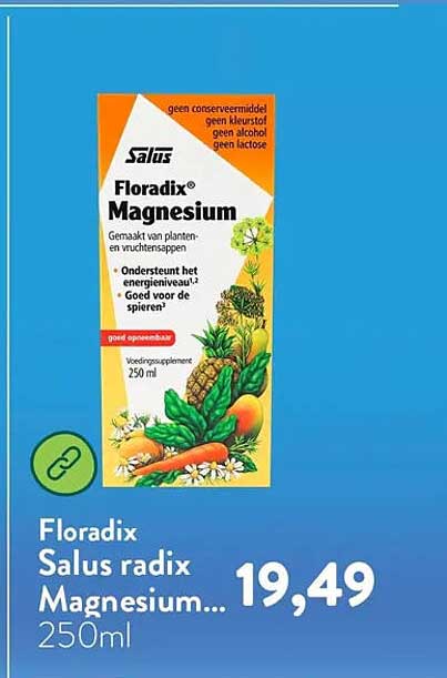 Floradix Salus radix Magnesium... 250ml