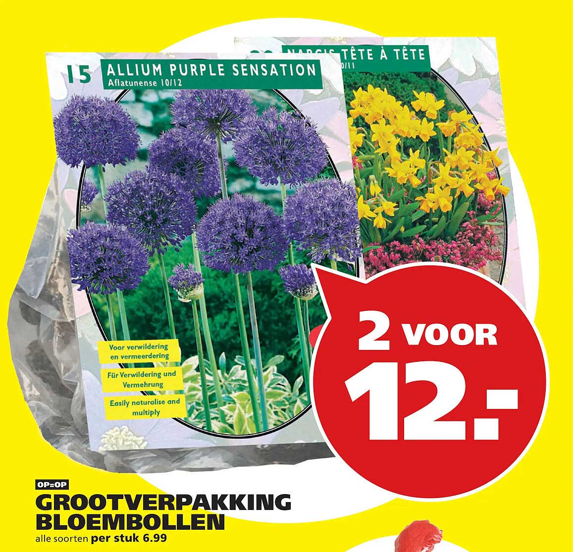 Grootverpakking bloembollen 2 voor 12.-