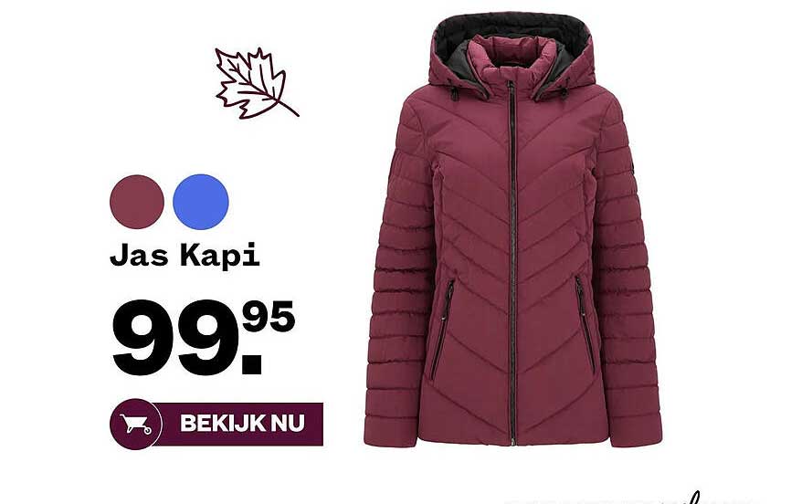 Jas Kapi