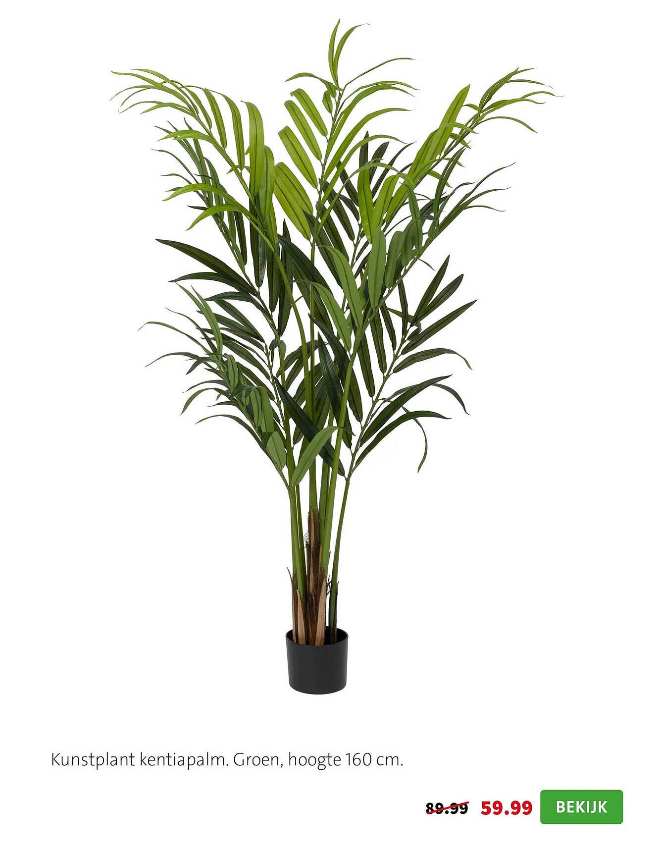 Kunstplant kentiapalm. Groen, hoogte 160 cm.