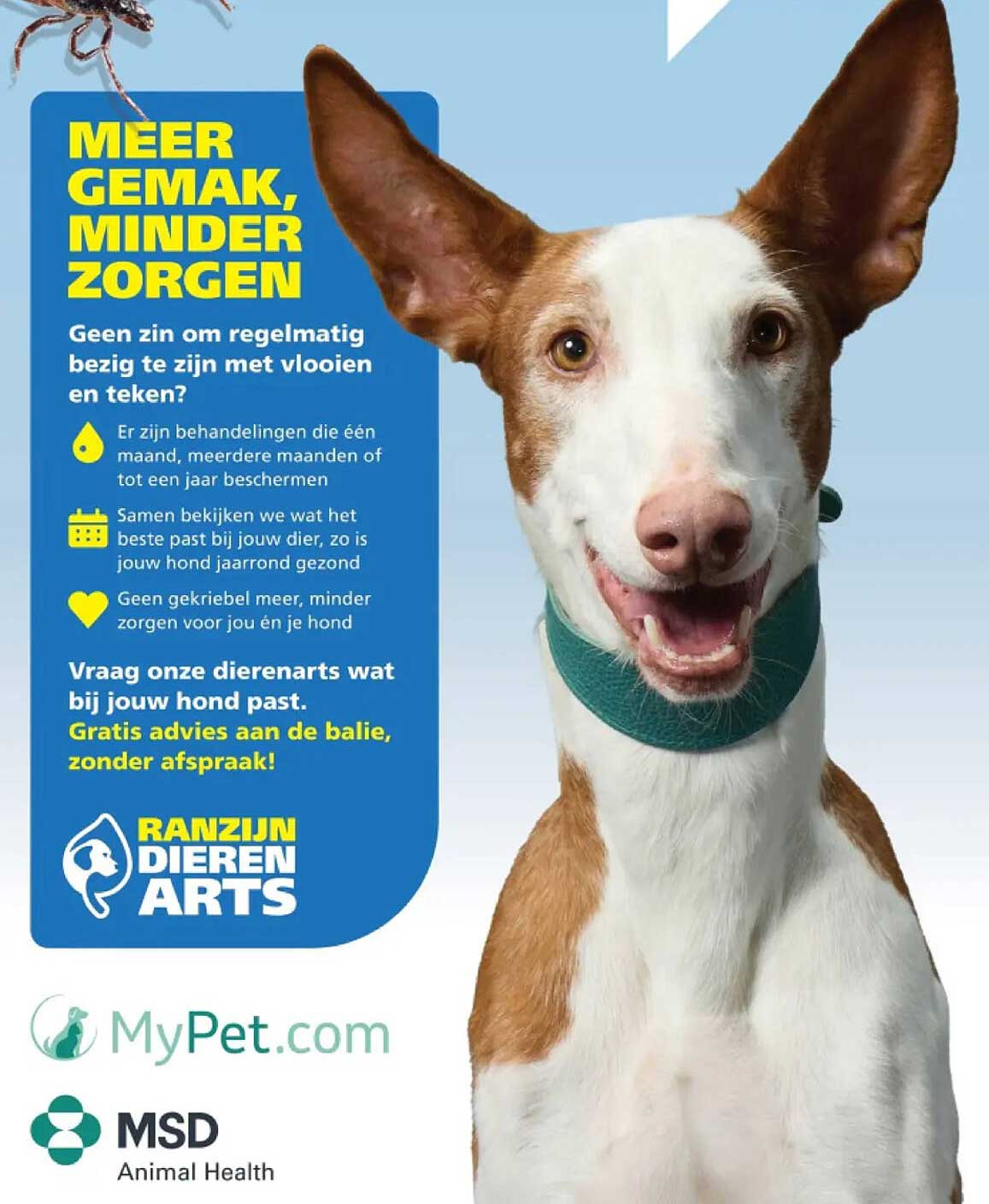 MEER GEMAK, MINDER ZORGEN