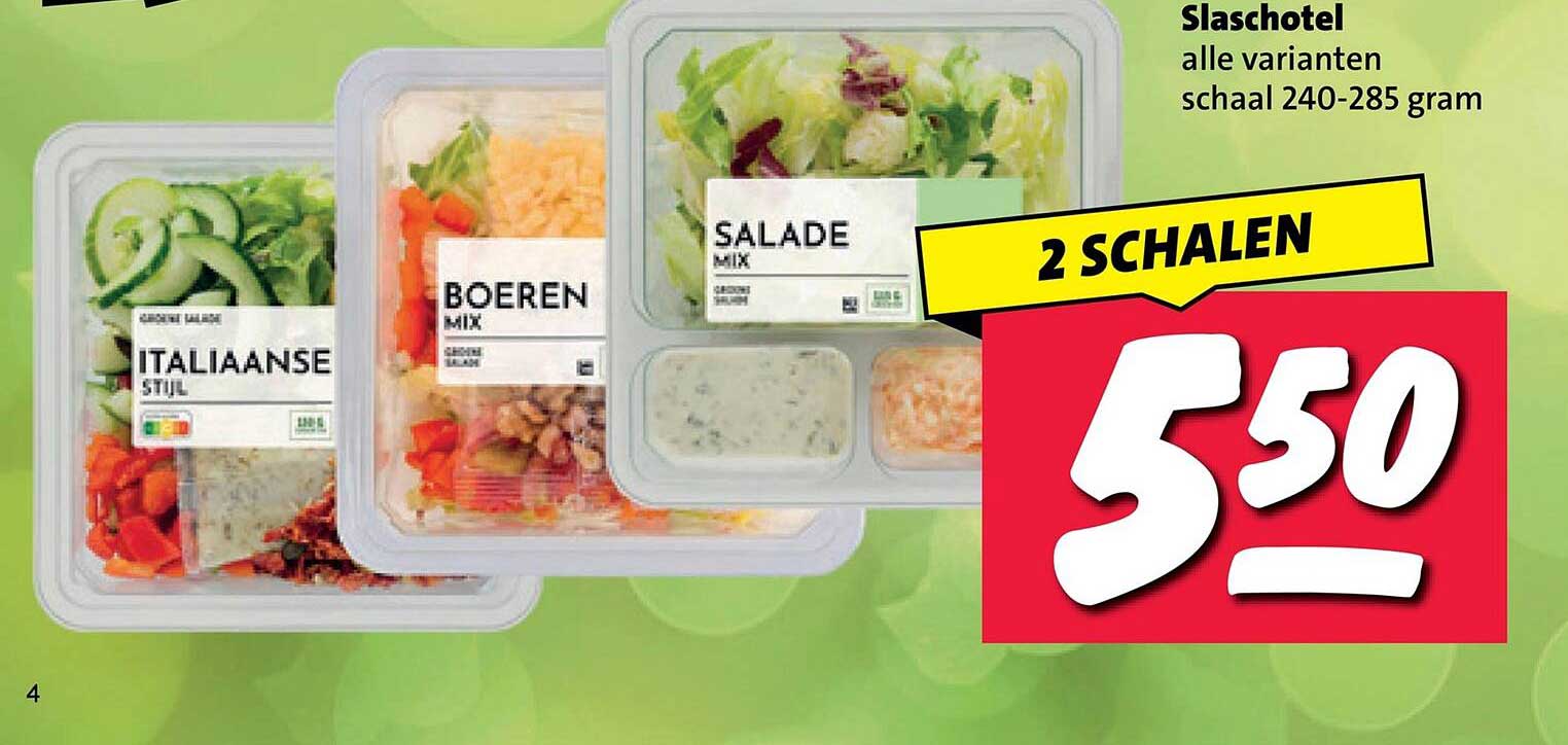 Slaschotel alle varianten schaal 240-285 gram 2 SCHALEN