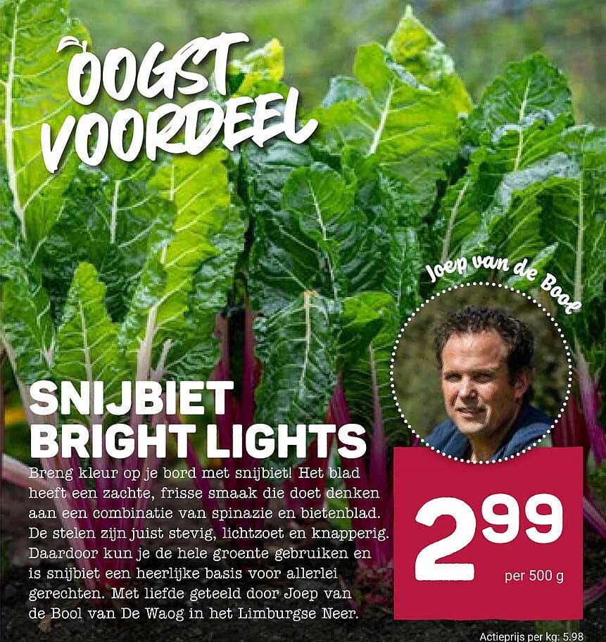 SNIJBIEt BRIGHT LIGHTS