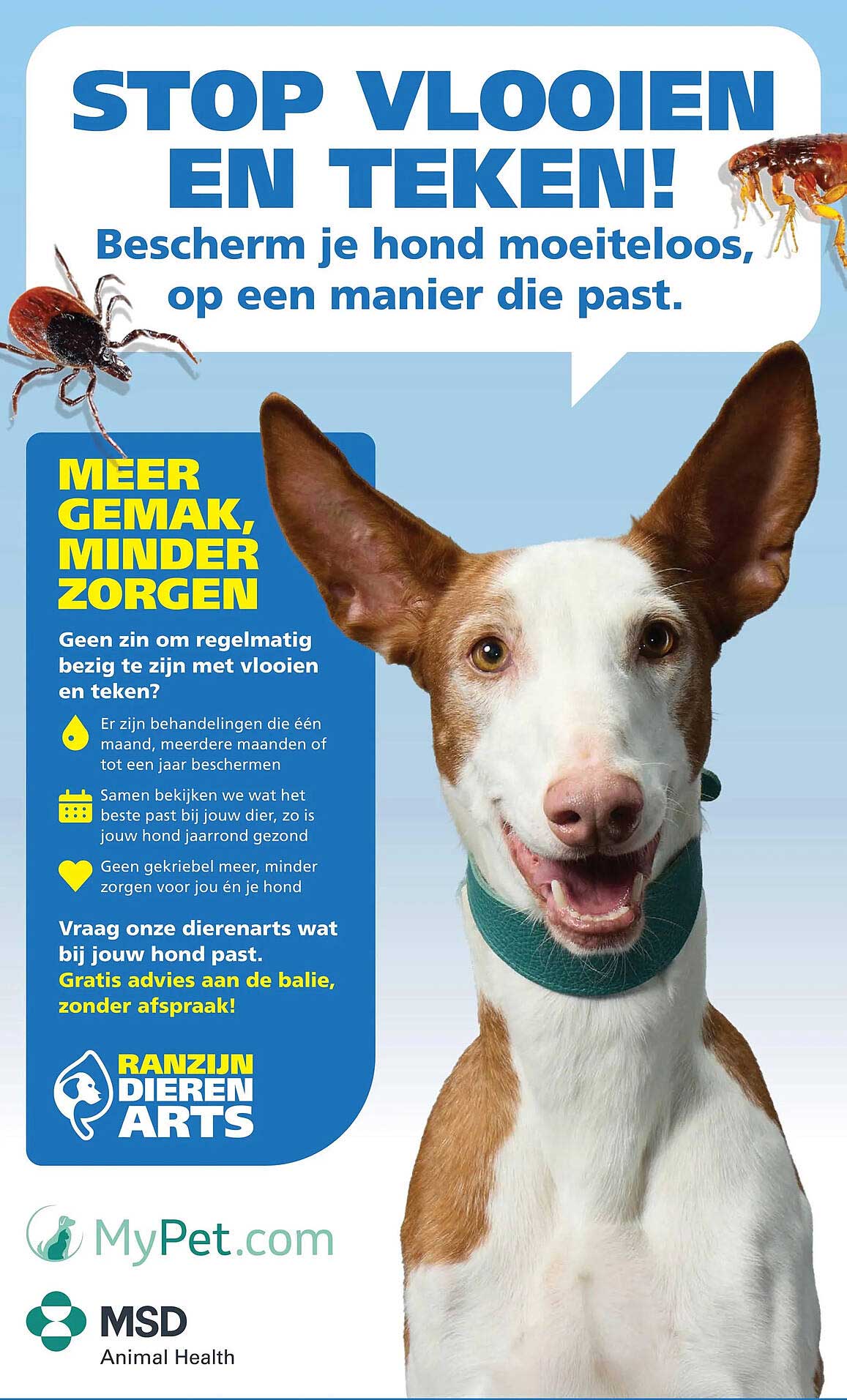 STOP VLOOIEN EN TEKEN! Bescherm je hond moeiteloos, op een manier die past.