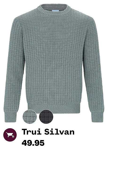 Trui Silvan