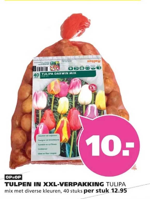 TULPEN IN XXL-VERPAKKING TULIPA mix met diverse kleuren, 40 stuks per stuk