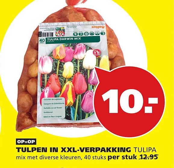 TULPEN IN XXL-VERPAKKING TULIPA mix met diverse kleuren, 40 stuks per stuk OP=OP