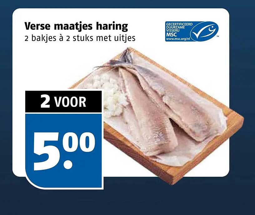 Verse maatjes haring
