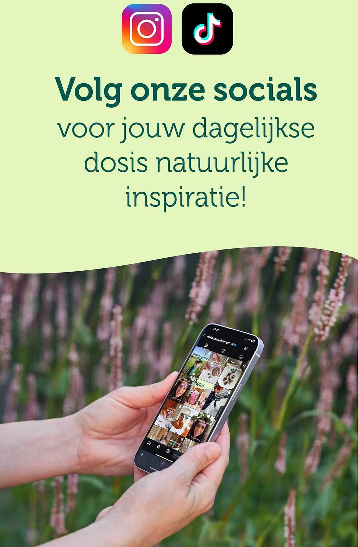 Volg onze socials voor jouw dagelijkse dosis natuurlijke inspiratie!