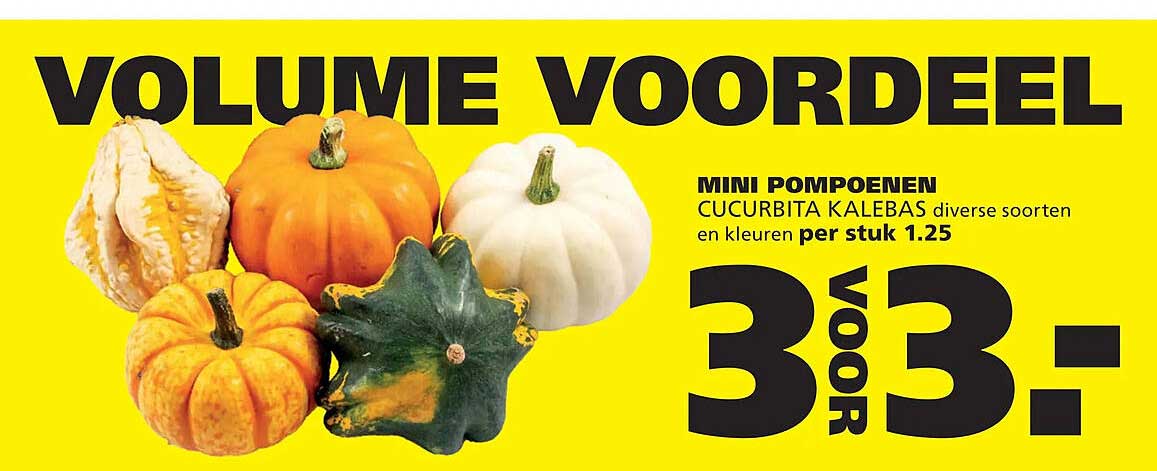 VOLUME VOORDEEL MINI POMPOENEN CUCURBITA KALEBAS diverse soorten en kleuren per stuk 1.25 3 VOOR 3,-