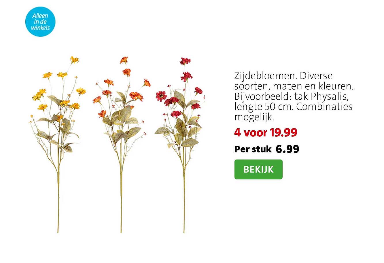 Zijdebloemen. Diverse soorten, maten en kleuren. Bijvoorbeeld: tak Physalis, lengte 50 cm. Combinaties mogelijk.