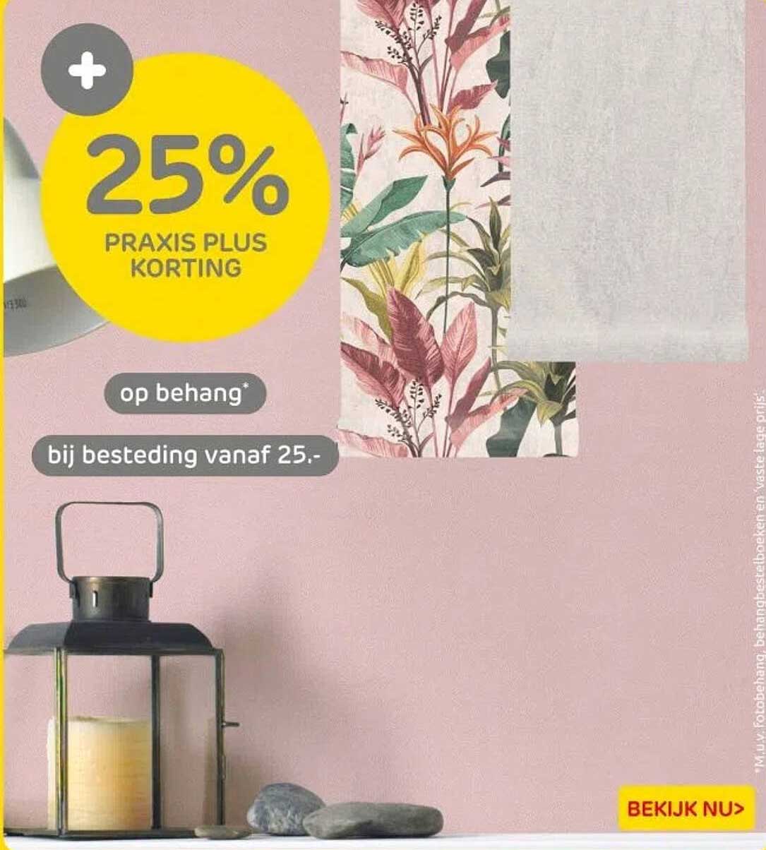 25% PRAKIS PLUS KORTING op behang bij besteding vanaf 25.-