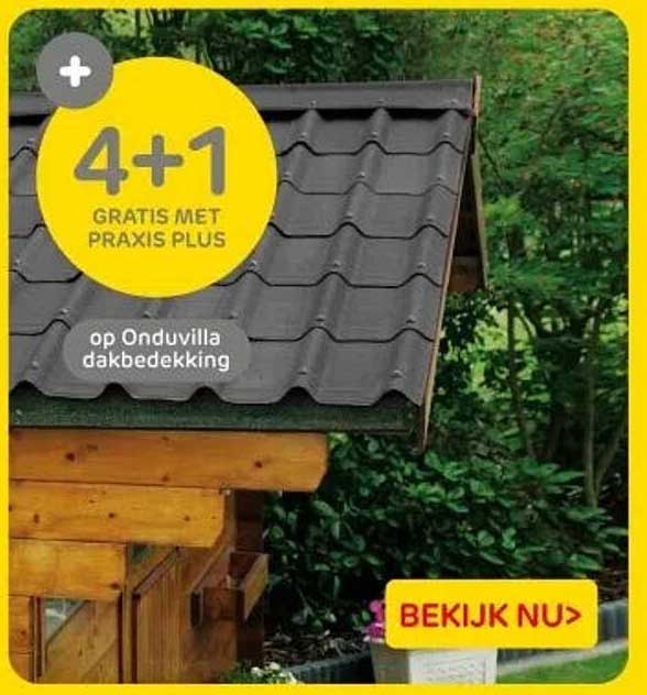 4+1 GRATIS MET PRAXIS PLUS op Onduvilla dakbedekking