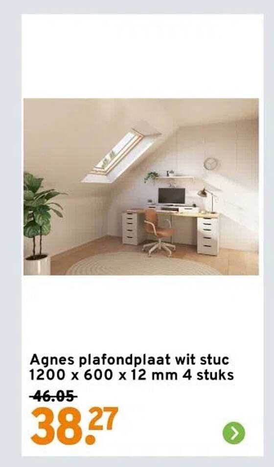 Agnes plafondplaat wit stuc 1200 x 600 x 12 mm 4 stuks