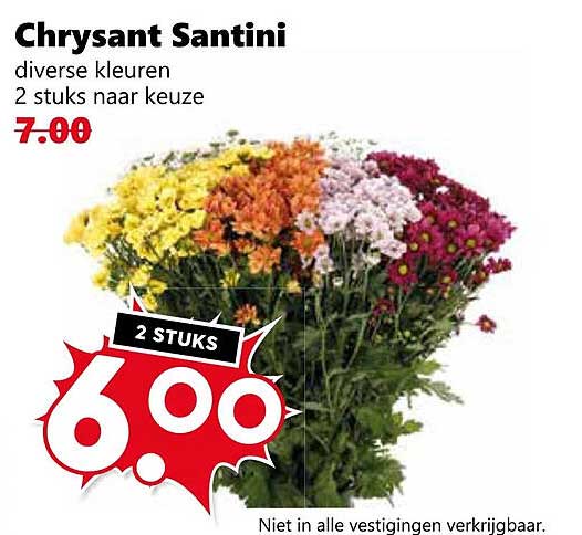Chrysant Santini