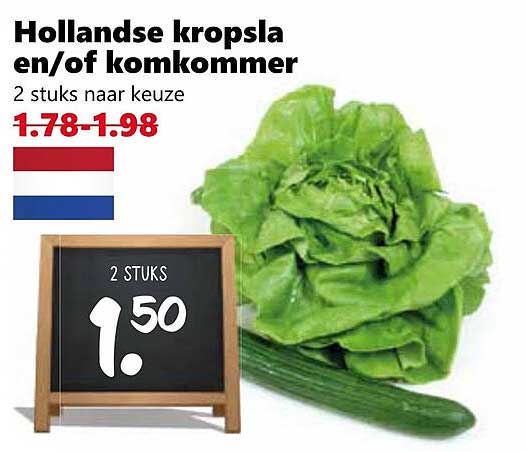 Hollandse kropsla en/of komkommer