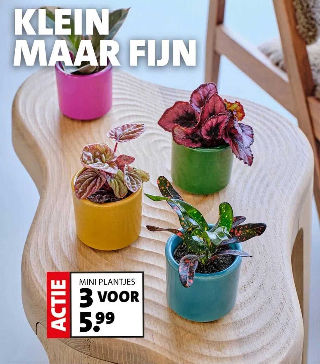 KLEIN MAAR FIJN