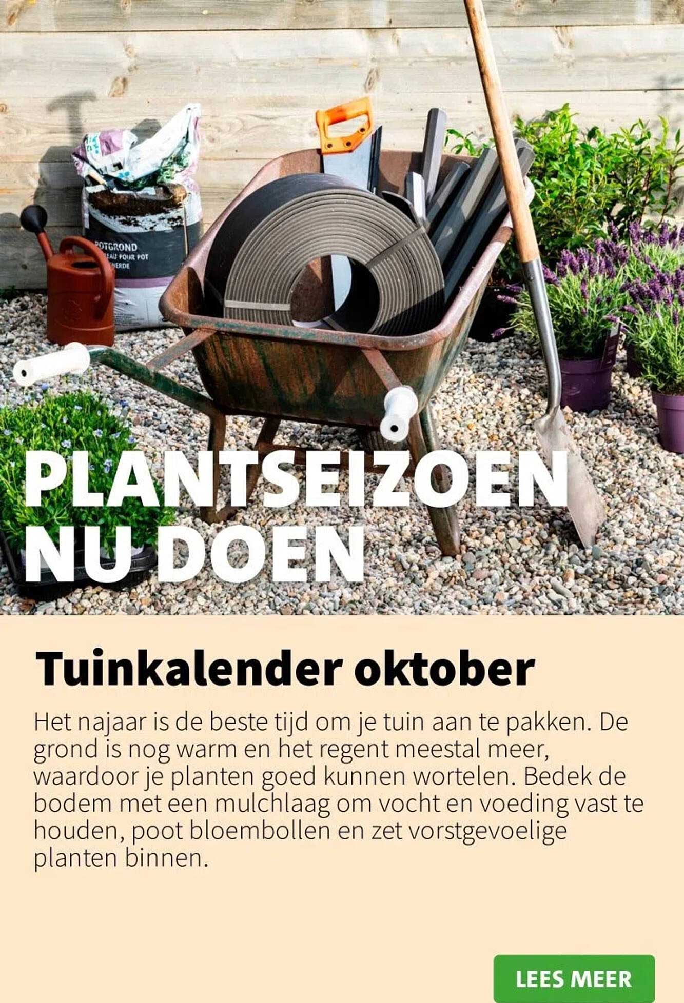 PLANTSEIZOEN NU DOEN - Tuinkalender oktober