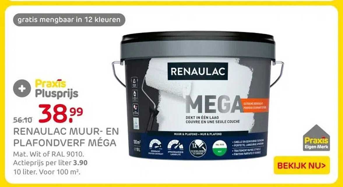 RENAULAC MUUR- EN PLAFONDVERF MÉGA