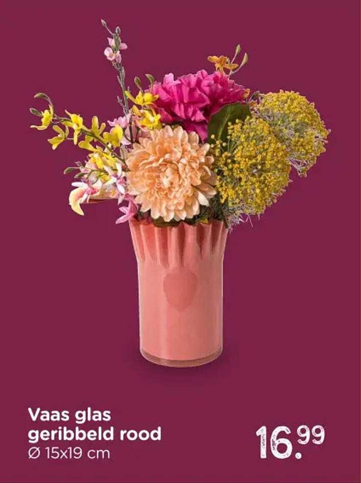 Vaas glas geribbeld rood