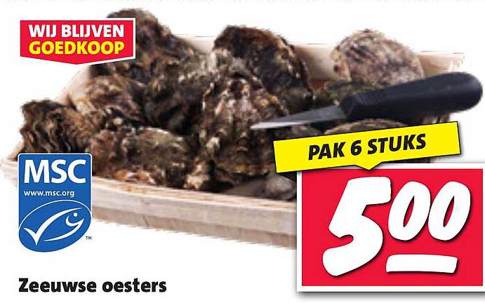 Zeeuwse oesters