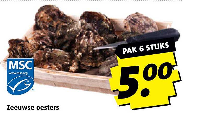 Zeeuwse oesters