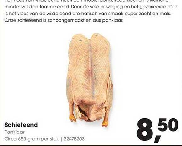 Schieteend Panklaar